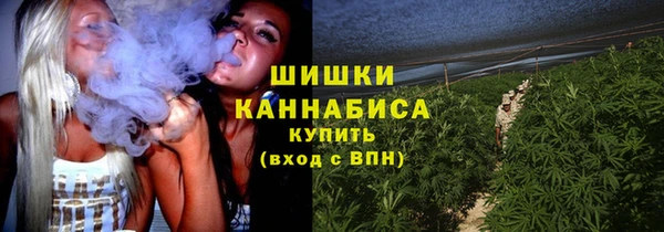 PSILOCYBIN Касимов