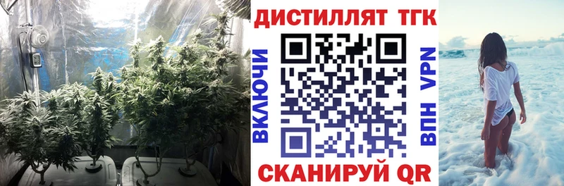 даркнет сайт  Хадыженск  ТГК вейп с тгк 